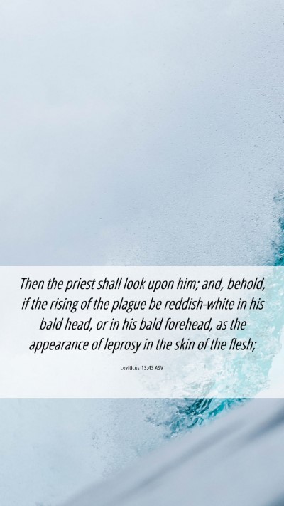 Picture 06 - Leviticus 13:43 ASV Mobile Phone Wallpaper - Then the priest shall look upon him; and, behold, - Mobile Bible Verse Wallpaper