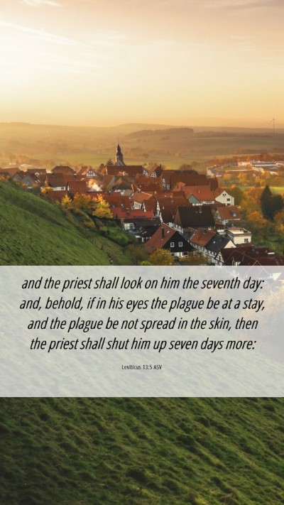 Picture 06 - Leviticus 13:5 ASV Mobile Phone Wallpaper - and the priest shall look on him the seventh day: - Mobile Bible Verse Wallpaper
