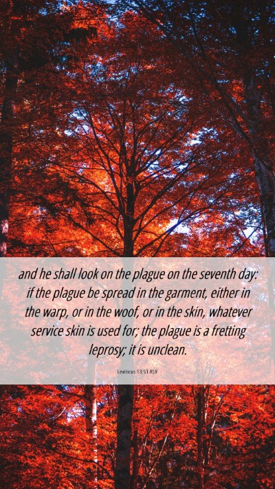 Picture 06 - Leviticus 13:51 ASV Mobile Phone Wallpaper - and he shall look on the plague on the seventh - Mobile Bible Verse Wallpaper