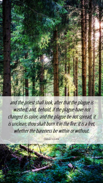 Picture 06 - Leviticus 13:55 ASV Mobile Phone Wallpaper - and the priest shall look, after that the plague - Mobile Bible Verse Wallpaper