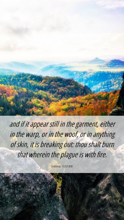 Picture 06 - Leviticus 13:57 ASV Mobile Phone Wallpaper - and if it appear still in the garment, either in - Mobile Bible Verse Wallpaper