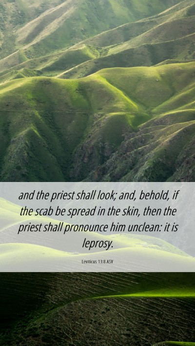 Picture 06 - Leviticus 13:8 ASV Mobile Phone Wallpaper - and the priest shall look; and, behold, if the - Mobile Bible Verse Wallpaper