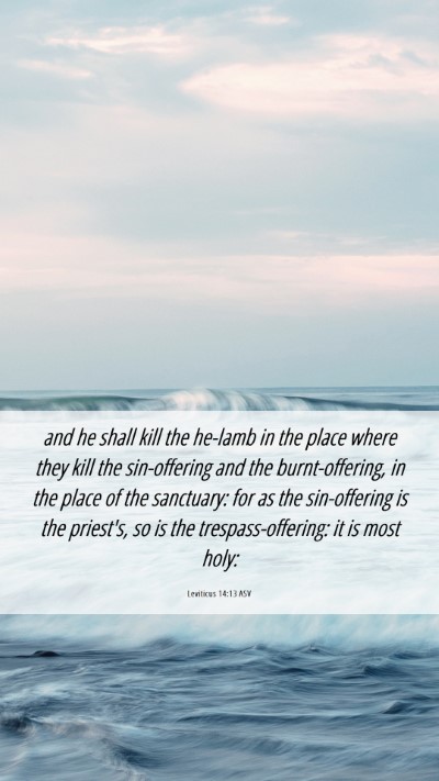 Picture 06 - Leviticus 14:13 ASV Mobile Phone Wallpaper - and he shall kill the he-lamb in the place where - Mobile Bible Verse Wallpaper