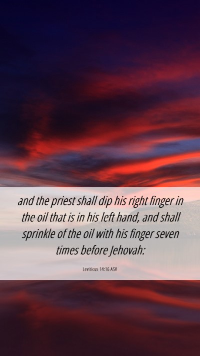 Picture 06 - Leviticus 14:16 ASV Mobile Phone Wallpaper - and the priest shall dip his right finger in the - Mobile Bible Verse Wallpaper