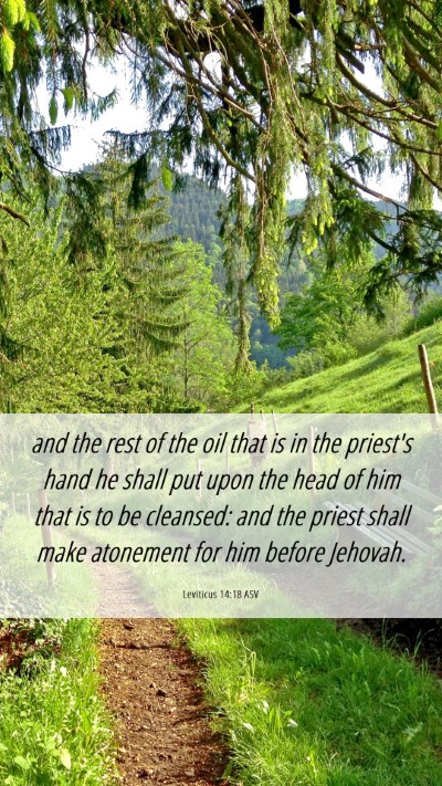 Picture 06 - Leviticus 14:18 ASV Mobile Phone Wallpaper - and the rest of the oil that is in the priest's - Mobile Bible Verse Wallpaper