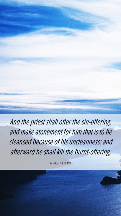 Picture 06 - Leviticus 14:19 ASV Mobile Phone Wallpaper - And the priest shall offer the sin-offering, and - Mobile Bible Verse Wallpaper