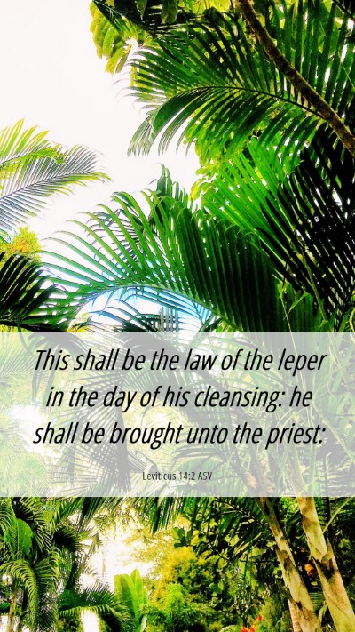 Picture 06 - Leviticus 14:2 ASV Mobile Phone Wallpaper - This shall be the law of the leper in the day of - Mobile Bible Verse Wallpaper