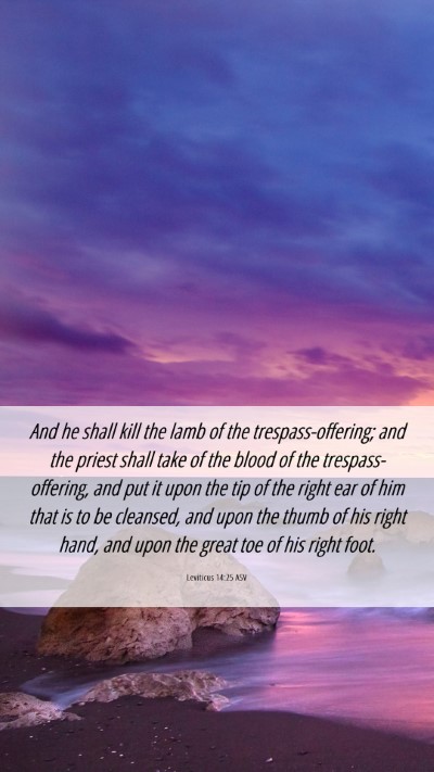 Picture 06 - Leviticus 14:25 ASV Mobile Phone Wallpaper - And he shall kill the lamb of the - Mobile Bible Verse Wallpaper