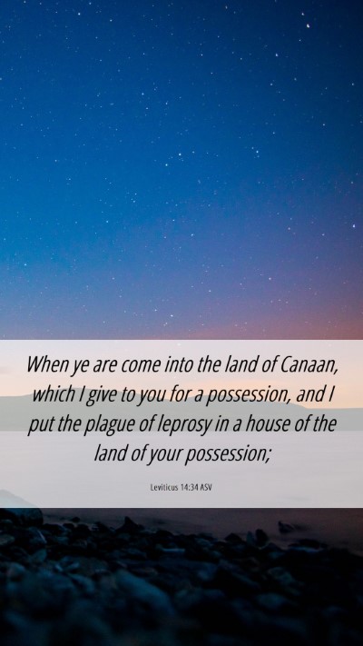 Picture 06 - Leviticus 14:34 ASV Mobile Phone Wallpaper - When ye are come into the land of Canaan, which I - Mobile Bible Verse Wallpaper