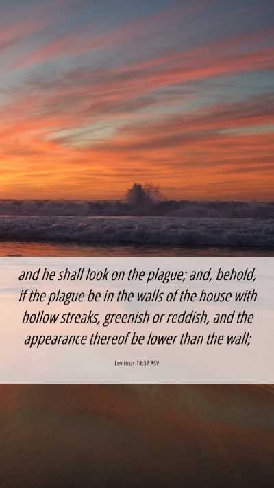 Picture 06 - Leviticus 14:37 ASV Mobile Phone Wallpaper - and he shall look on the plague; and, behold, if - Mobile Bible Verse Wallpaper