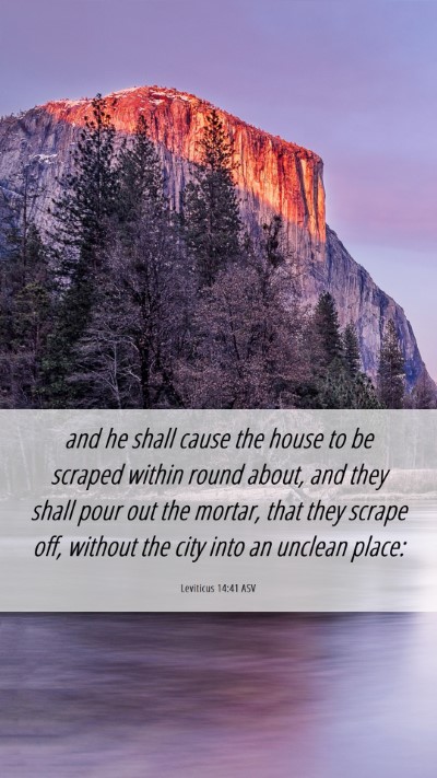 Picture 06 - Leviticus 14:41 ASV Mobile Phone Wallpaper - and he shall cause the house to be scraped within - Mobile Bible Verse Wallpaper