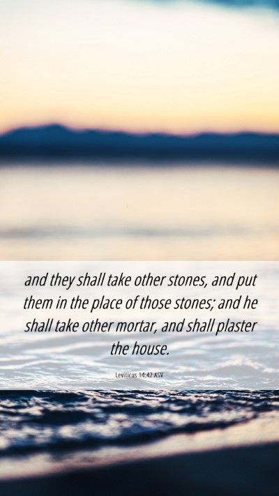 Picture 06 - Leviticus 14:42 ASV Mobile Phone Wallpaper - and they shall take other stones, and put them in - Mobile Bible Verse Wallpaper