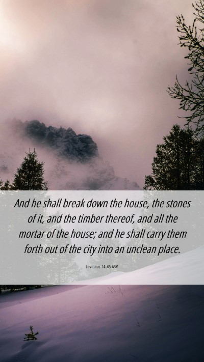 Picture 06 - Leviticus 14:45 ASV Mobile Phone Wallpaper - And he shall break down the house, the stones of - Mobile Bible Verse Wallpaper