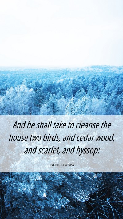 Picture 06 - Leviticus 14:49 ASV Mobile Phone Wallpaper - And he shall take to cleanse the house two birds, - Mobile Bible Verse Wallpaper
