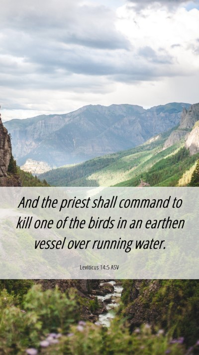 Picture 06 - Leviticus 14:5 ASV Mobile Phone Wallpaper - And the priest shall command to kill one of the - Mobile Bible Verse Wallpaper