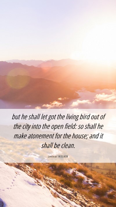 Picture 06 - Leviticus 14:53 ASV Mobile Phone Wallpaper - but he shall let got the living bird out of the - Mobile Bible Verse Wallpaper