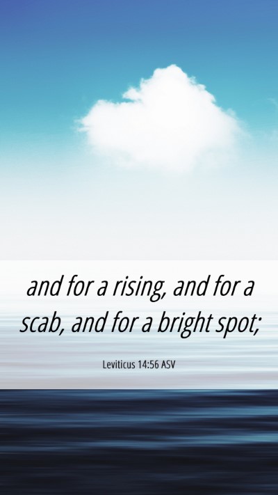 Picture 06 - Leviticus 14:56 ASV Mobile Phone Wallpaper - and for a rising, and for a scab, and for a - Mobile Bible Verse Wallpaper