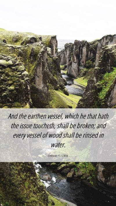 Picture 06 - Leviticus 15:12 ASV Mobile Phone Wallpaper - And the earthen vessel, which he that hath the - Mobile Bible Verse Wallpaper