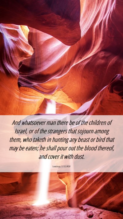 Picture 06 - Leviticus 17:13 ASV Mobile Phone Wallpaper - And whatsoever man there be of the children of - Mobile Bible Verse Wallpaper