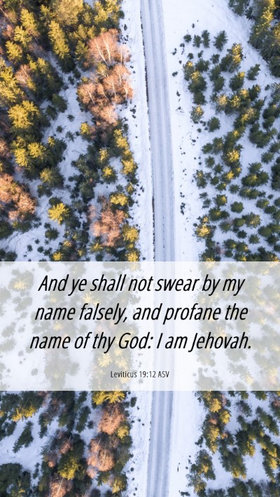 Picture 06 - Leviticus 19:12 ASV Mobile Phone Wallpaper - And ye shall not swear by my name falsely, and - Mobile Bible Verse Wallpaper