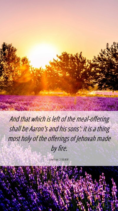 Picture 06 - Leviticus 2:10 ASV Mobile Phone Wallpaper - And that which is left of the meal-offering shall - Mobile Bible Verse Wallpaper