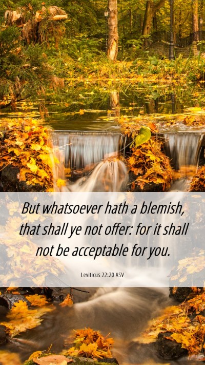 Picture 06 - Leviticus 22:20 ASV Mobile Phone Wallpaper - But whatsoever hath a blemish, that shall ye not - Mobile Bible Verse Wallpaper