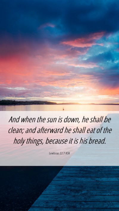 Picture 06 - Leviticus 22:7 ASV Mobile Phone Wallpaper - And when the sun is down, he shall be clean; and - Mobile Bible Verse Wallpaper