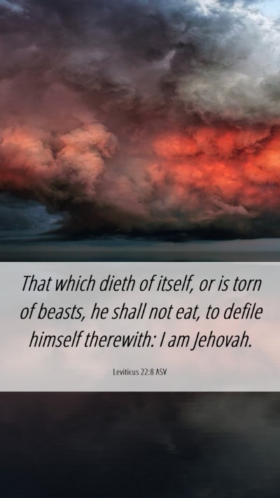 Picture 06 - Leviticus 22:8 ASV Mobile Phone Wallpaper - That which dieth of itself, or is torn of beasts, - Mobile Bible Verse Wallpaper
