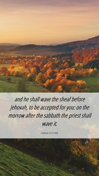 Picture 06 - Leviticus 23:11 ASV Mobile Phone Wallpaper - and he shall wave the sheaf before Jehovah, to be - Mobile Bible Verse Wallpaper