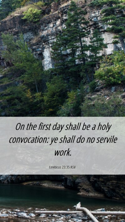 Picture 06 - Leviticus 23:35 ASV Mobile Phone Wallpaper - On the first day shall be a holy convocation: ye - Mobile Bible Verse Wallpaper