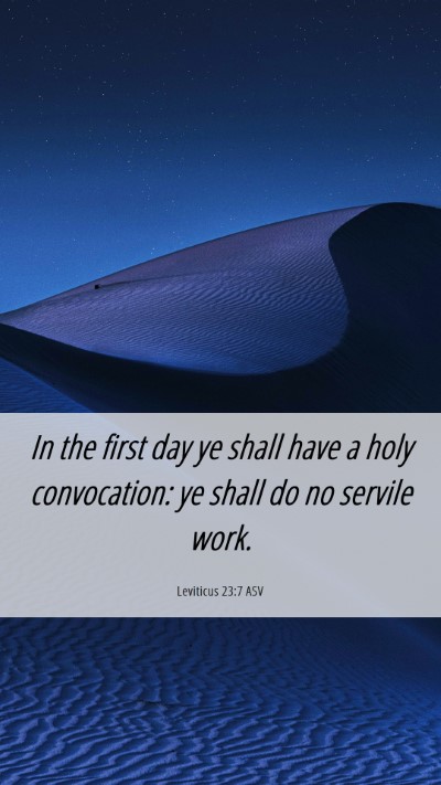 Picture 06 - Leviticus 23:7 ASV Mobile Phone Wallpaper - In the first day ye shall have a holy - Mobile Bible Verse Wallpaper