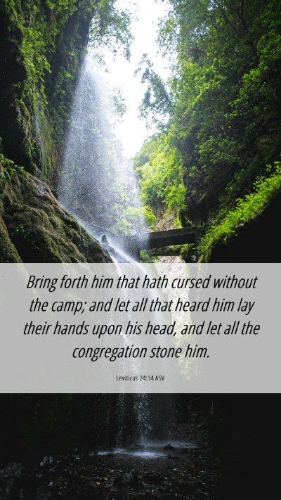Picture 06 - Leviticus 24:14 ASV Mobile Phone Wallpaper - Bring forth him that hath cursed without the - Mobile Bible Verse Wallpaper