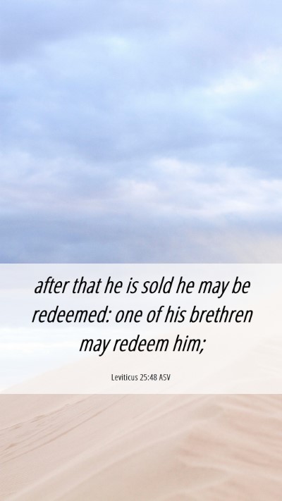 Picture 06 - Leviticus 25:48 ASV Mobile Phone Wallpaper - after that he is sold he may be redeemed: one of - Mobile Bible Verse Wallpaper