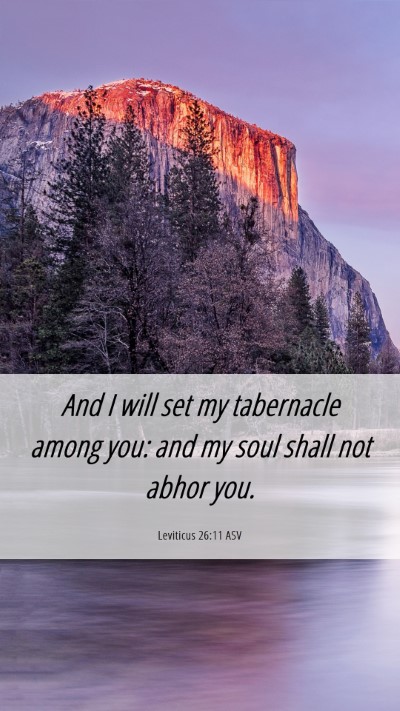 Picture 06 - Leviticus 26:11 ASV Mobile Phone Wallpaper - And I will set my tabernacle among you: and my - Mobile Bible Verse Wallpaper