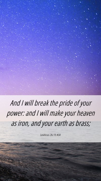 Picture 06 - Leviticus 26:19 ASV Mobile Phone Wallpaper - And I will break the pride of your power: and I - Mobile Bible Verse Wallpaper