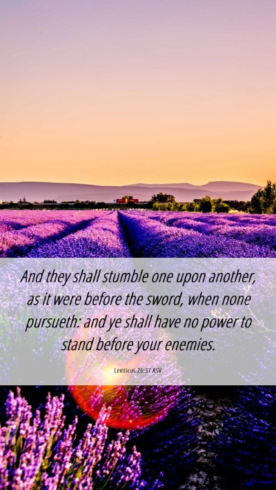 Picture 06 - Leviticus 26:37 ASV Mobile Phone Wallpaper - And they shall stumble one upon another, as it - Mobile Bible Verse Wallpaper