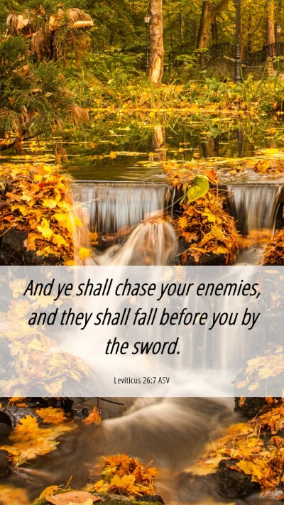 Picture 06 - Leviticus 26:7 ASV Mobile Phone Wallpaper - And ye shall chase your enemies, and they shall - Mobile Bible Verse Wallpaper