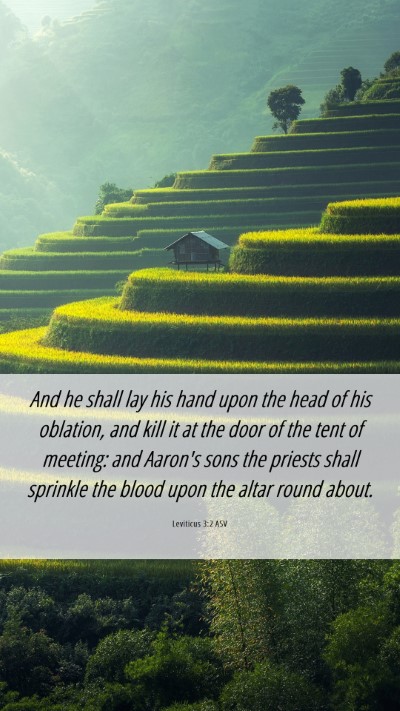 Picture 06 - Leviticus 3:2 ASV Mobile Phone Wallpaper - And he shall lay his hand upon the head of his - Mobile Bible Verse Wallpaper