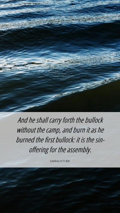 Picture 06 - Leviticus 4:21 ASV Mobile Phone Wallpaper - And he shall carry forth the bullock without the - Mobile Bible Verse Wallpaper