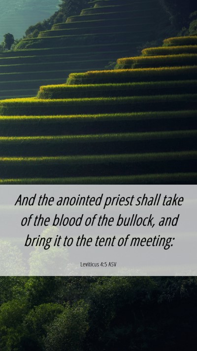 Picture 06 - Leviticus 4:5 ASV Mobile Phone Wallpaper - And the anointed priest shall take of the blood - Mobile Bible Verse Wallpaper