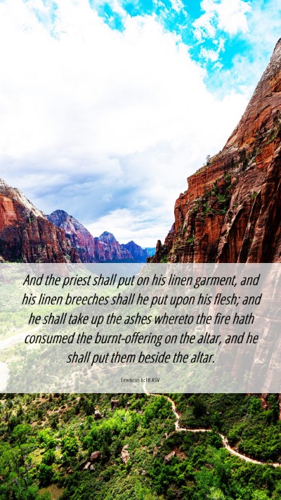 Picture 06 - Leviticus 6:10 ASV Mobile Phone Wallpaper - And the priest shall put on his linen garment, - Mobile Bible Verse Wallpaper