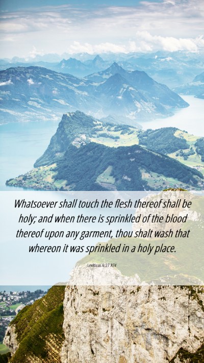 Picture 06 - Leviticus 6:27 ASV Mobile Phone Wallpaper - Whatsoever shall touch the flesh thereof shall be - Mobile Bible Verse Wallpaper