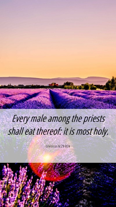 Picture 06 - Leviticus 6:29 ASV Mobile Phone Wallpaper - Every male among the priests shall eat thereof: - Mobile Bible Verse Wallpaper