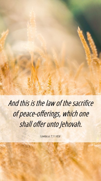 Picture 06 - Leviticus 7:11 ASV Mobile Phone Wallpaper - And this is the law of the sacrifice of - Mobile Bible Verse Wallpaper