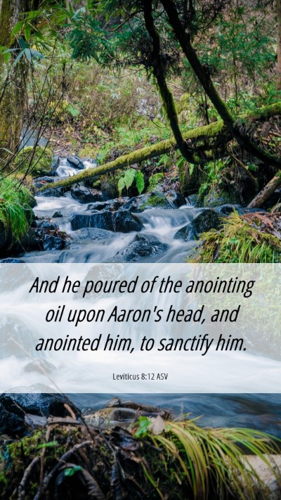 Picture 06 - Leviticus 8:12 ASV Mobile Phone Wallpaper - And he poured of the anointing oil upon Aaron's - Mobile Bible Verse Wallpaper