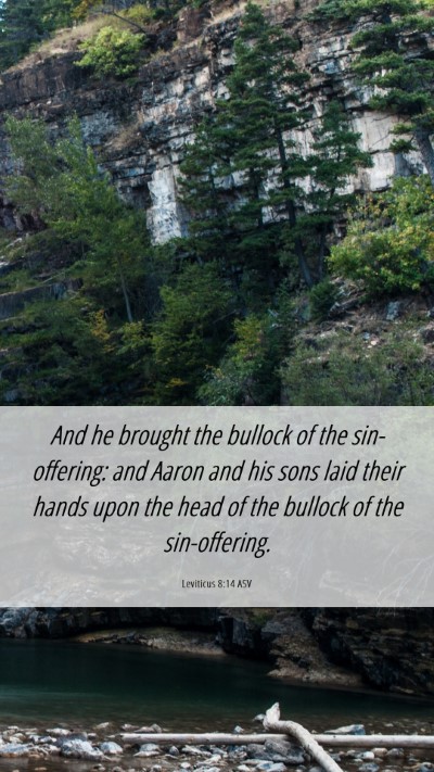 Picture 06 - Leviticus 8:14 ASV Mobile Phone Wallpaper - And he brought the bullock of the sin-offering: - Mobile Bible Verse Wallpaper
