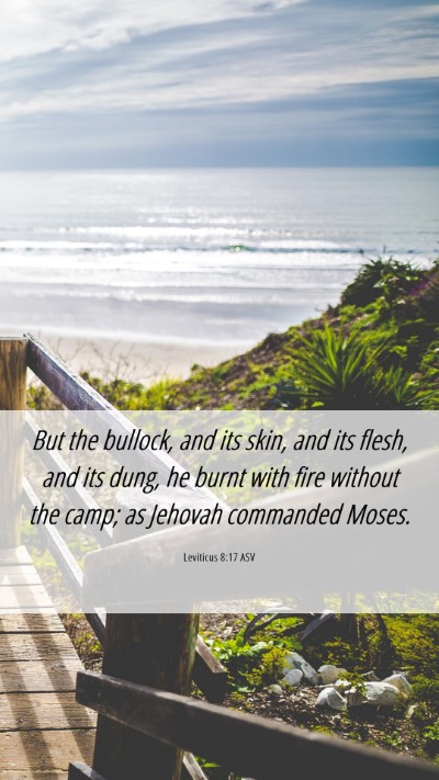 Picture 06 - Leviticus 8:17 ASV Mobile Phone Wallpaper - But the bullock, and its skin, and its flesh, and - Mobile Bible Verse Wallpaper