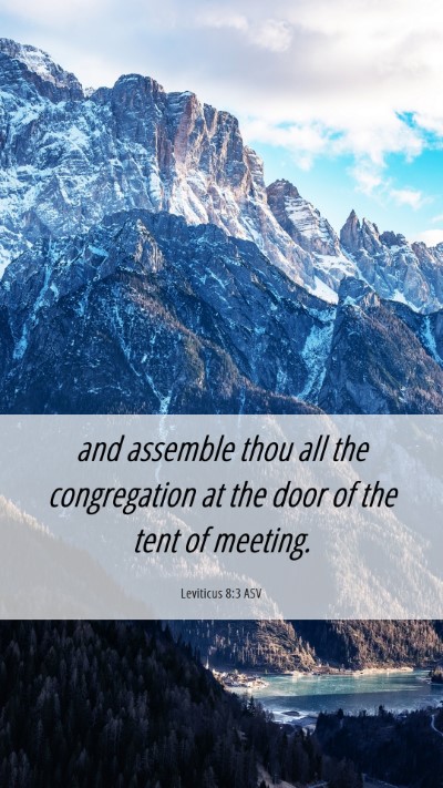 Picture 06 - Leviticus 8:3 ASV Mobile Phone Wallpaper - and assemble thou all the congregation at the - Mobile Bible Verse Wallpaper
