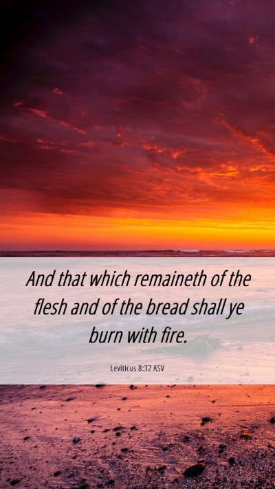 Picture 06 - Leviticus 8:32 ASV Mobile Phone Wallpaper - And that which remaineth of the flesh and of the - Mobile Bible Verse Wallpaper