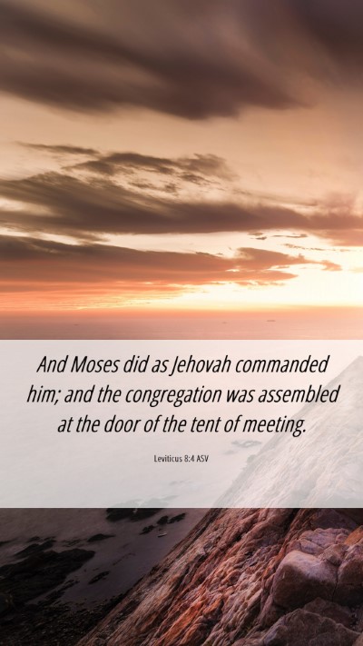 Picture 06 - Leviticus 8:4 ASV Mobile Phone Wallpaper - And Moses did as Jehovah commanded him; and the - Mobile Bible Verse Wallpaper